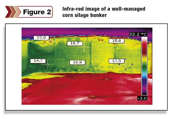 Infra-red image of a well-managed corn silage bunker